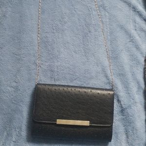 Shoulder/Clutch Bag